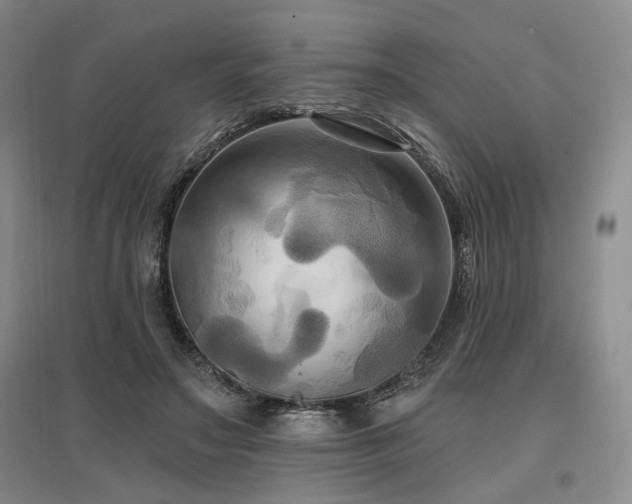 X0000097490499200802221418