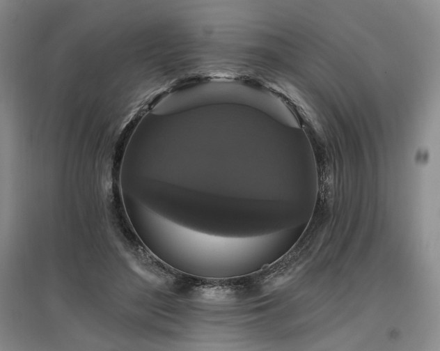 X0000097490500200802221418