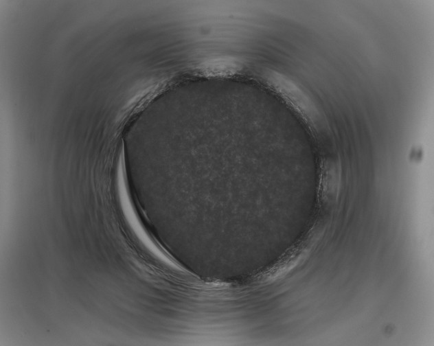 X0000097490501200802221418