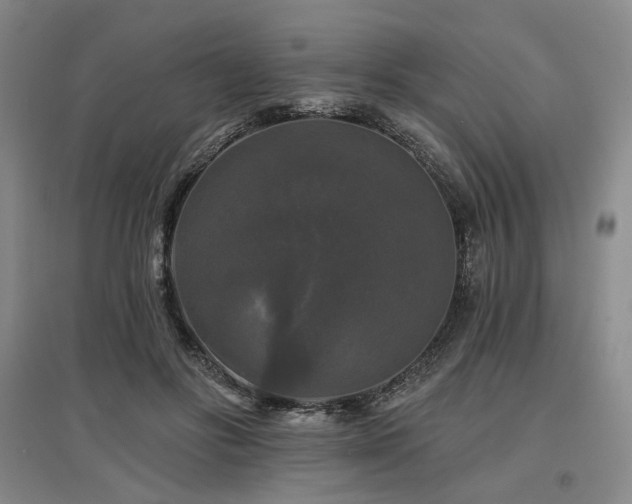 X0000097490502200802221418