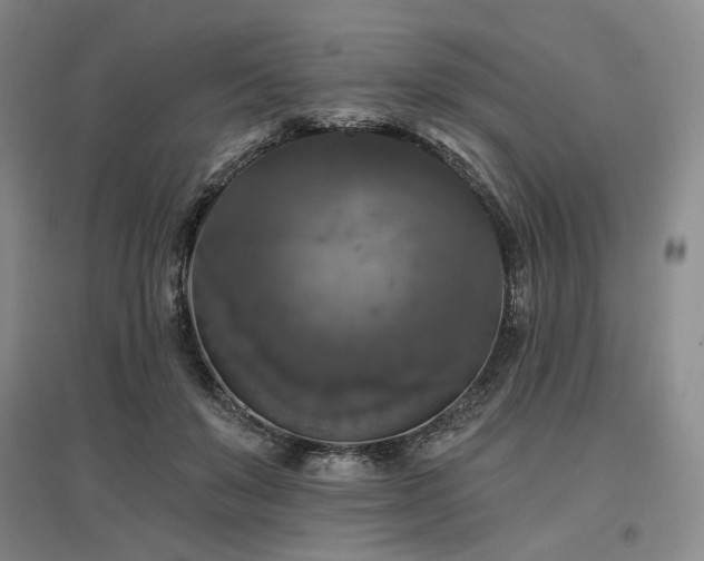 X0000097490503200802221418