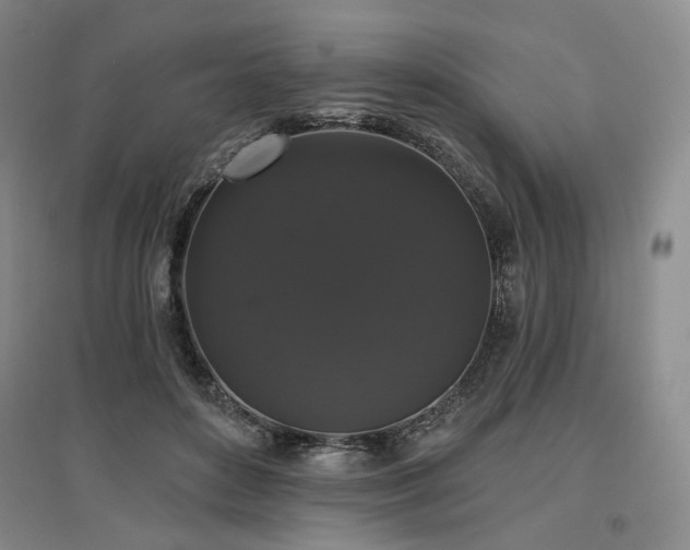 X0000097490504200802221418