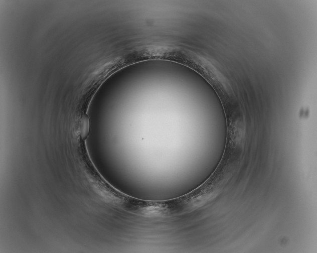 X0000097490505200802221418