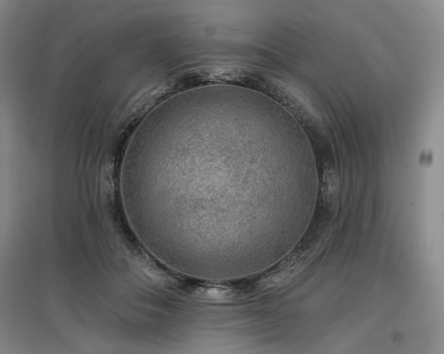 X0000097490506200802221418