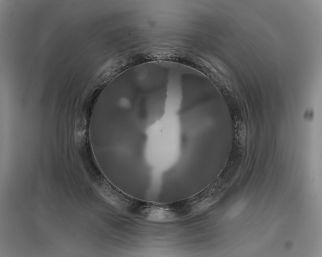 X0000097490507200802221418