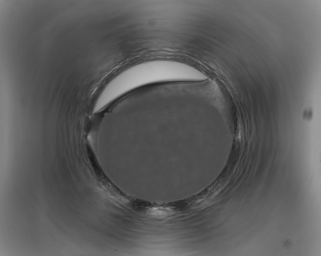 X0000097490508200802221418