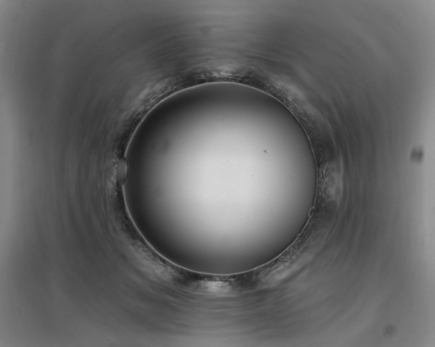 X0000097490509200802221418