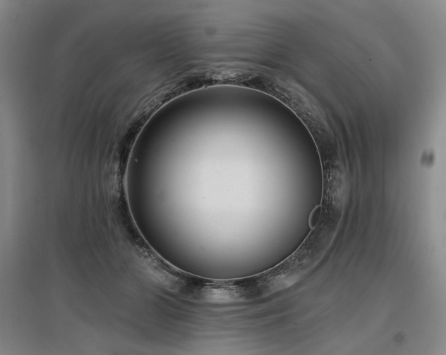 X0000097490510200802221418