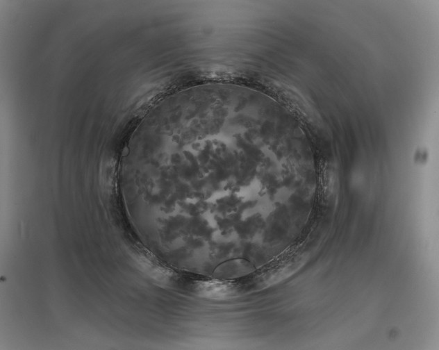 X0000097490511200802221418