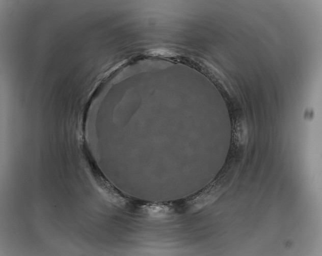 X0000097490512200802221418