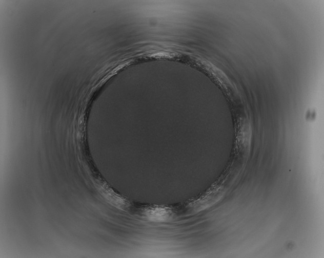 X0000097490513200802221418