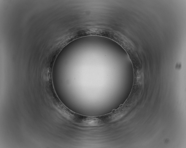 X0000097490514200802221418