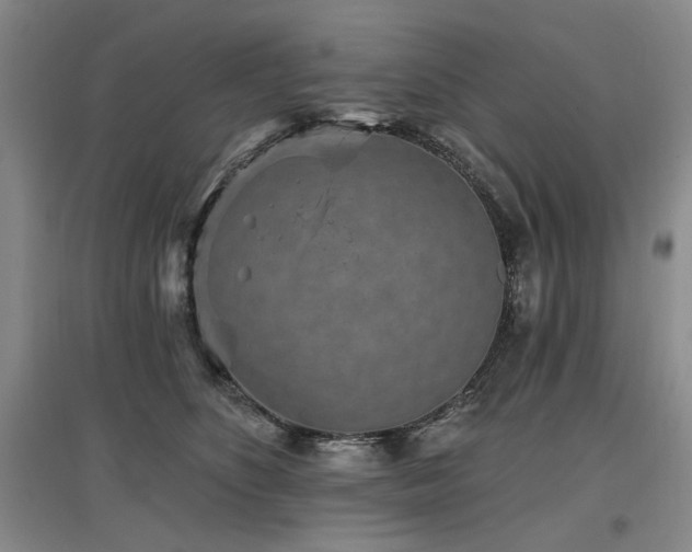 X0000097490516200802221418