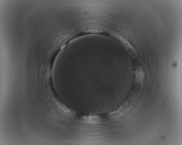 X0000097490517200802221418