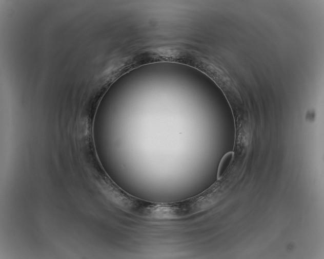 X0000097490518200802221418