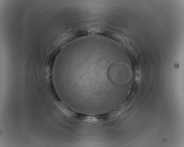 X0000097490519200802221418