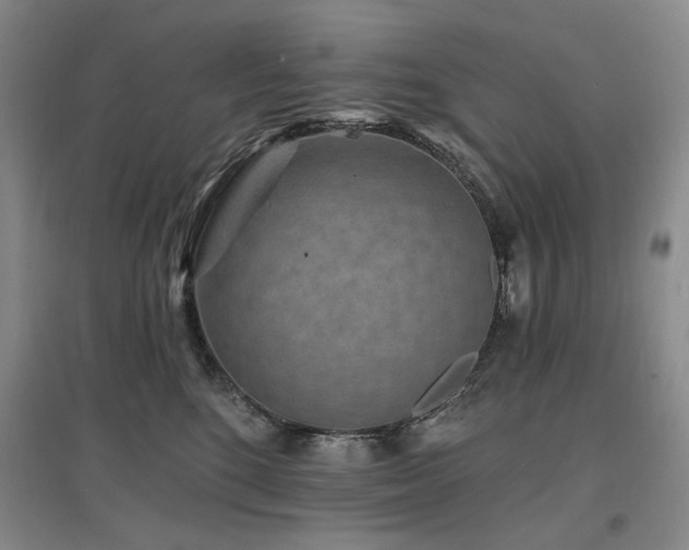 X0000097490520200802221418