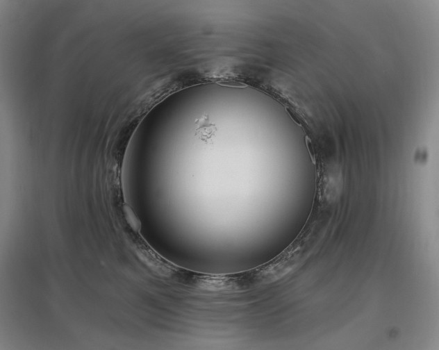 X0000097490521200802221418