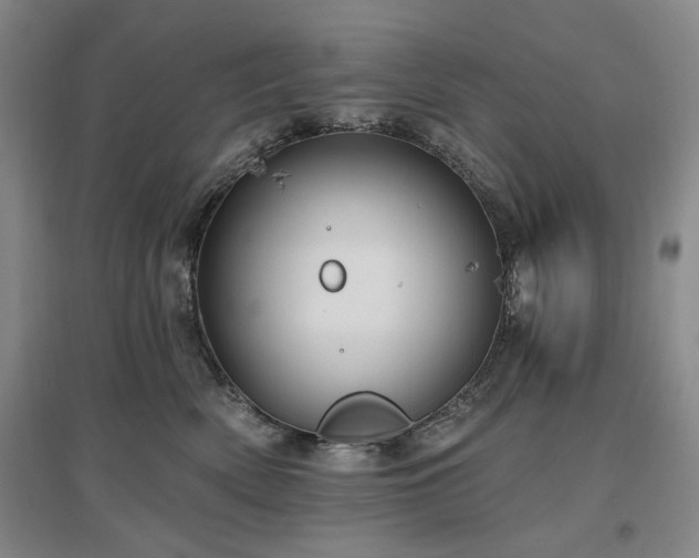 X0000097490522200802221418