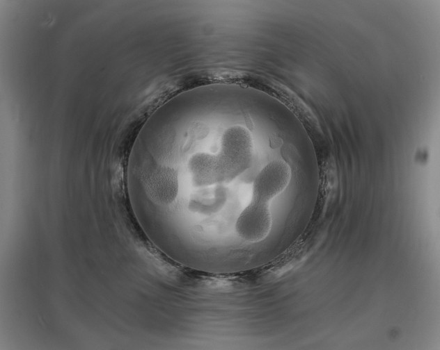 X0000097490523200802221418