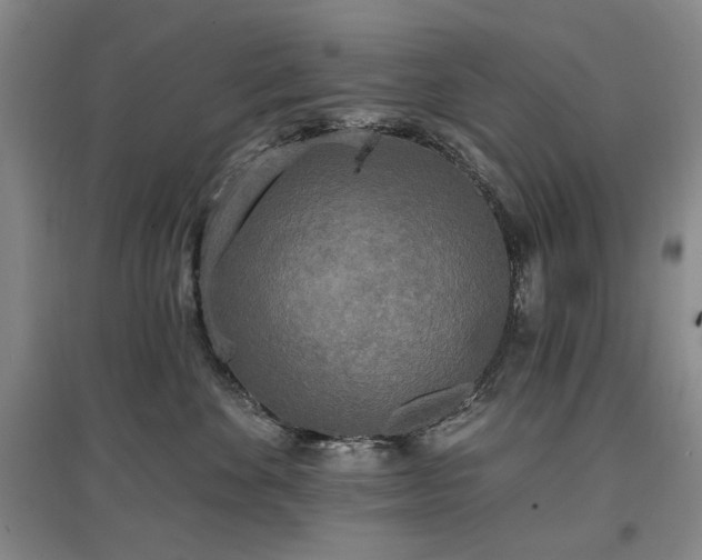 X0000097490524200802221418