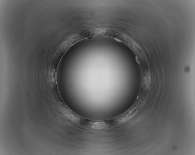 X0000097490525200802221418