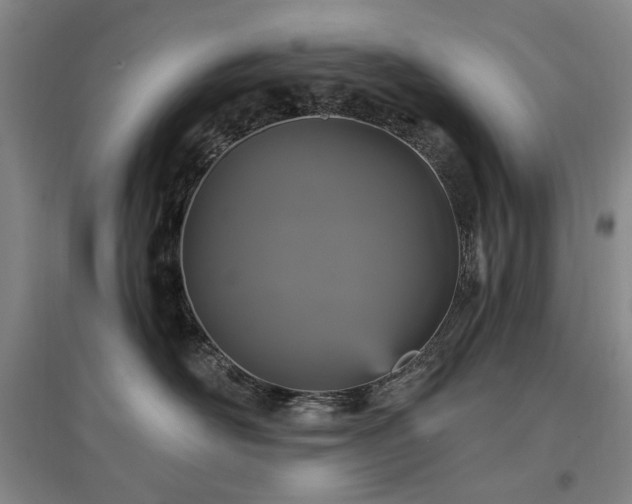 X0000097490526200802221418