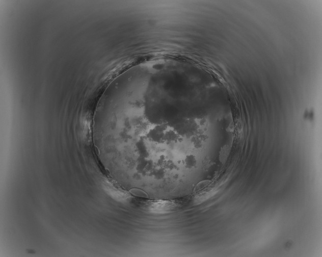 X0000097490527200802221418