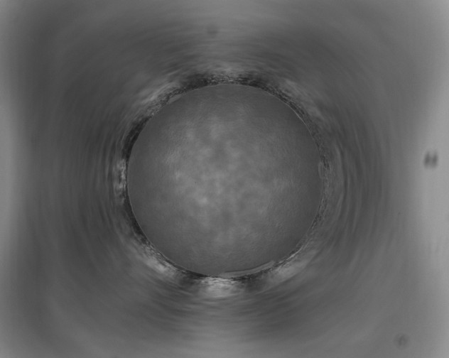 X0000097490528200802221418