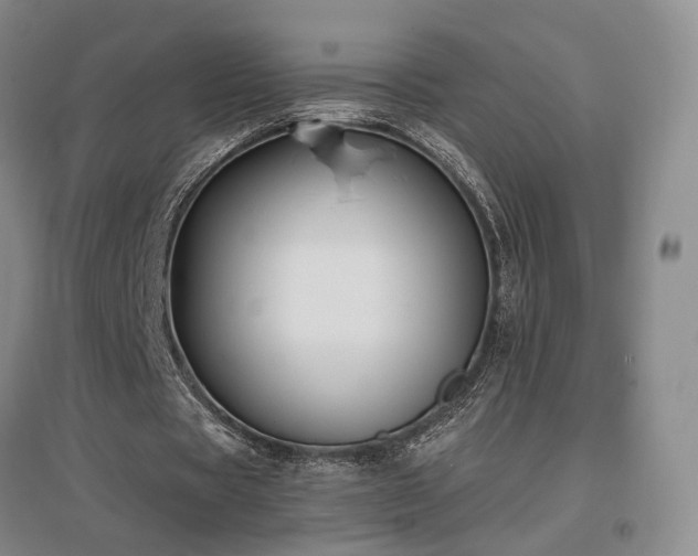 X0000097490529200802221417