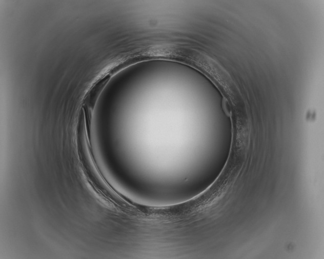 X0000097490530200802221417