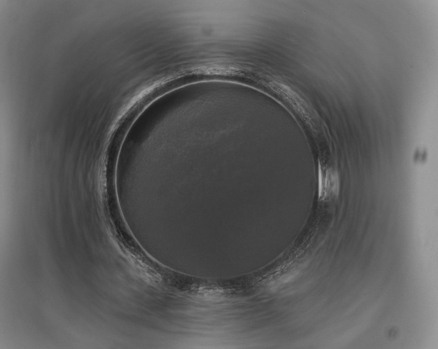 X0000097490531200802221417