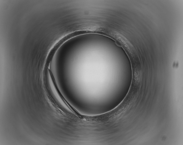 X0000097490532200802221417