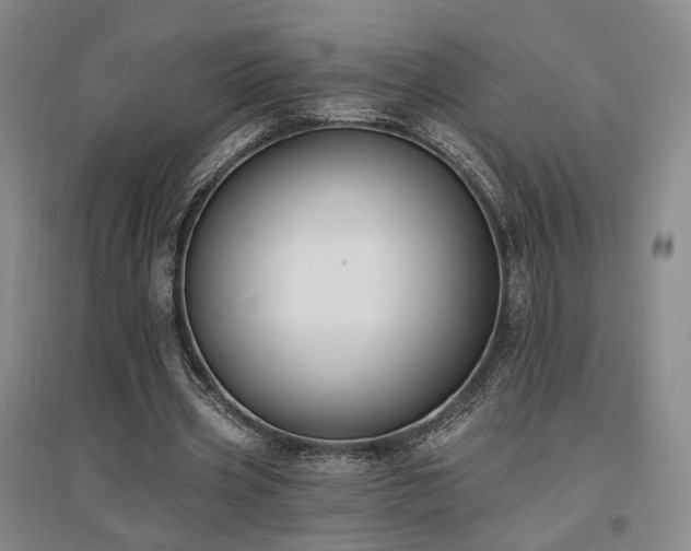 X0000097490533200802221417