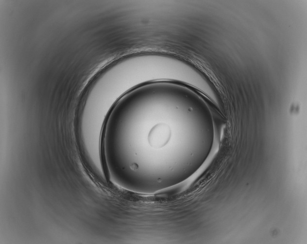 X0000097490534200802221417