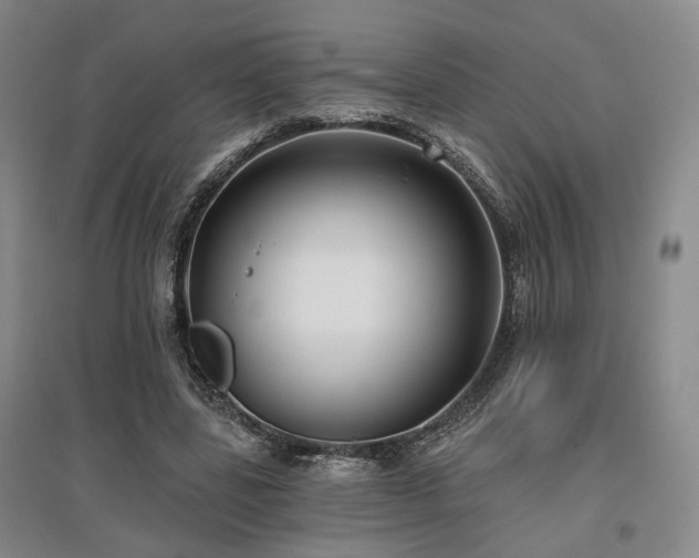 X0000097490539200802221417