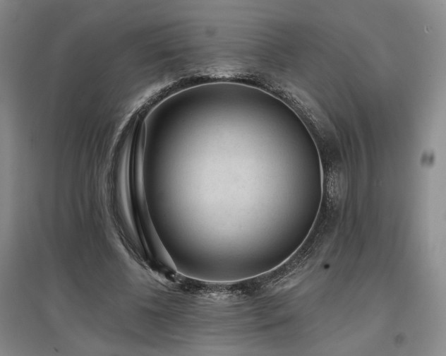 X0000097490540200802221417