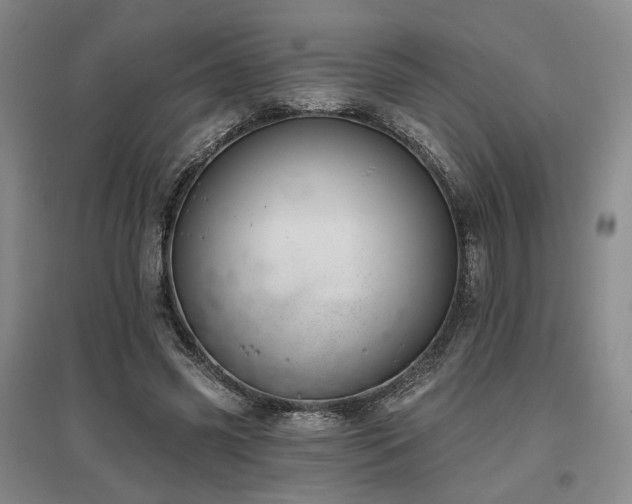 X0000097490541200802221417