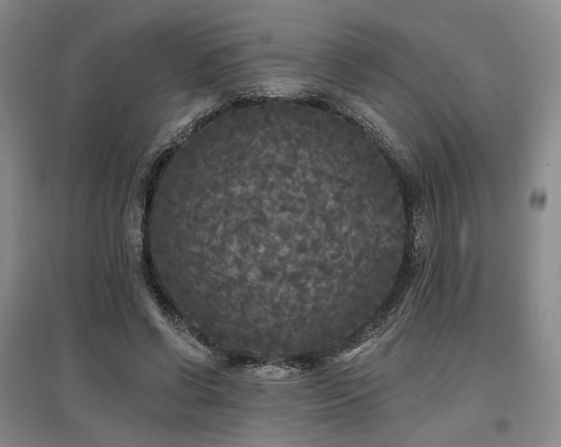 X0000097490542200802221417