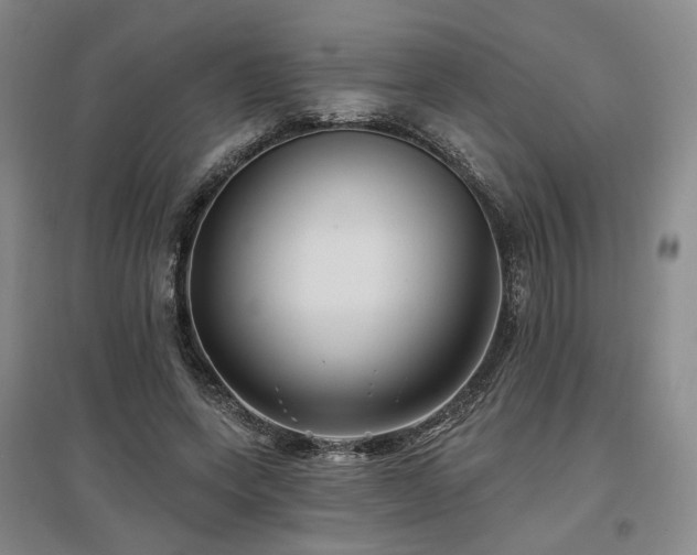 X0000097490543200802221417