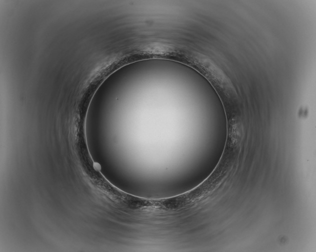 X0000097490544200802221417