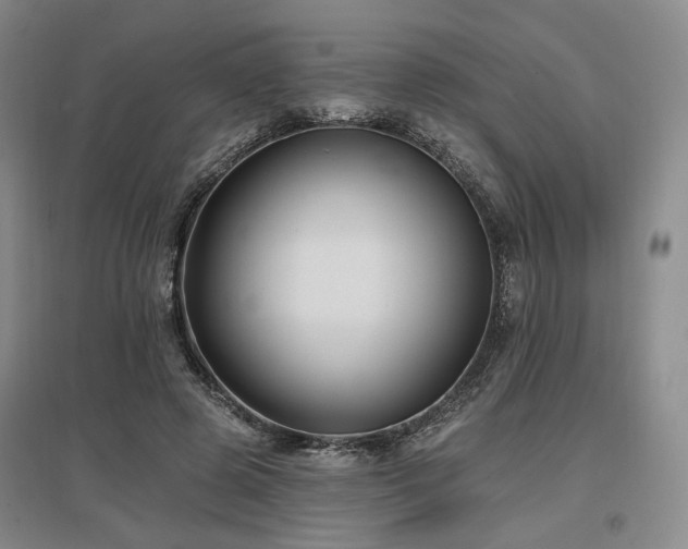 X0000097490545200802221417