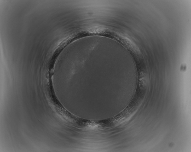 X0000097490547200802221417