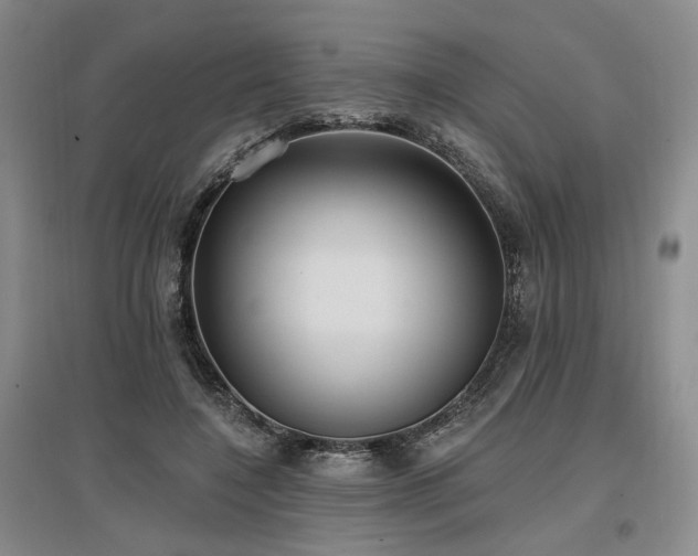 X0000097490548200802221417