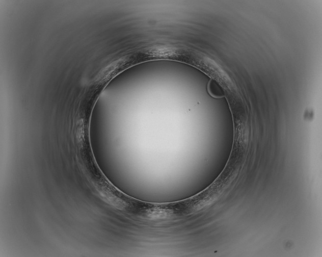 X0000097490549200802221417