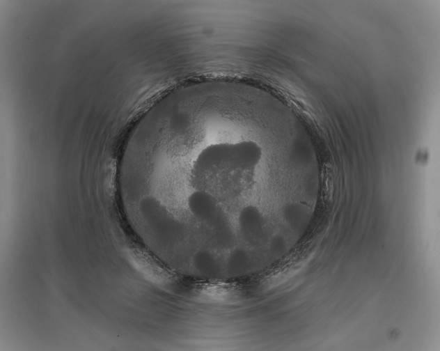 X0000097490550200802221417