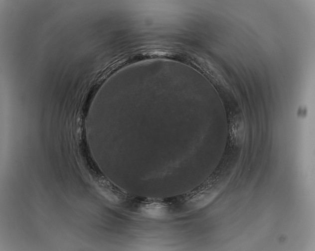 X0000097490551200802221417