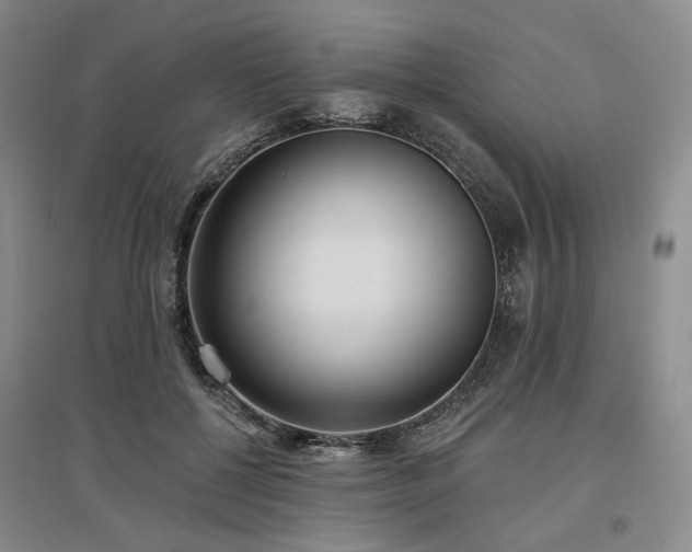 X0000097490552200802221417