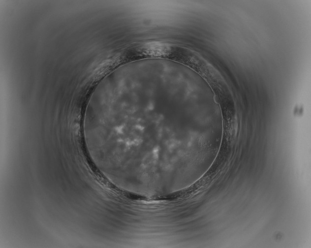 X0000097490553200802221417