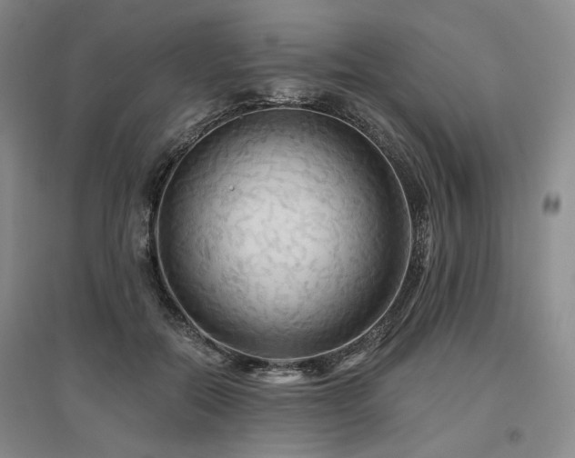 X0000097490554200802221417